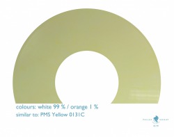 white99_orange01